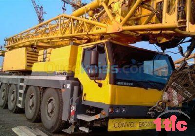 Location Grue LIEBHERR 100T