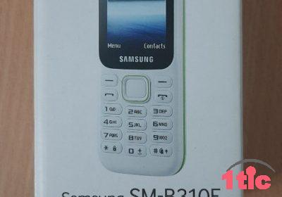 Samsung B310E