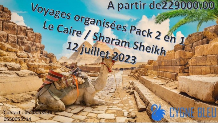 Voyages organisées juillet 2023